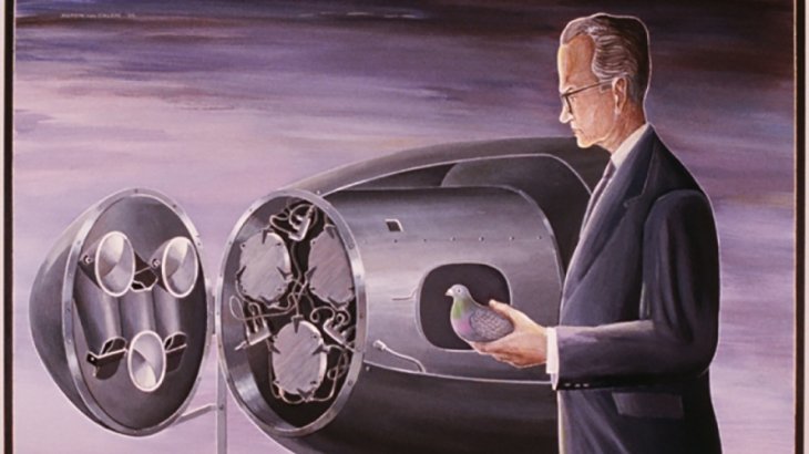 Pigeon-Guided-Missiles