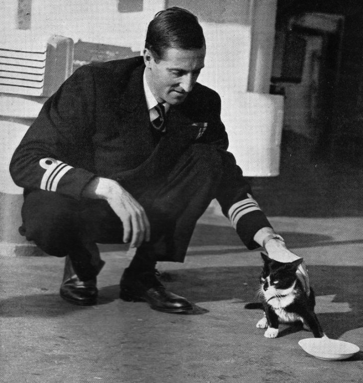 Able-Seacat-Simon-war