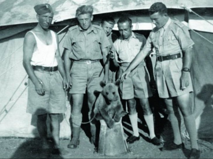 Wojtek-The-Soldier-Bear