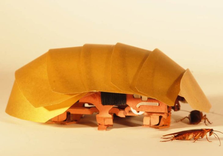 Cockroach-Robot