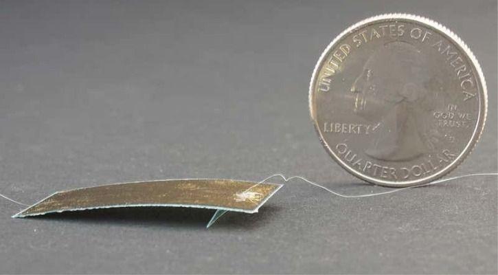 cockroach-robot-rescue-disaster