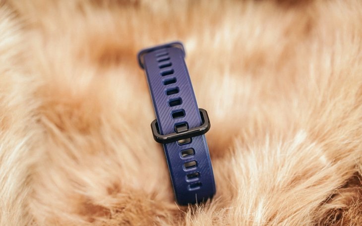 Honor Band 5 Smartband 1