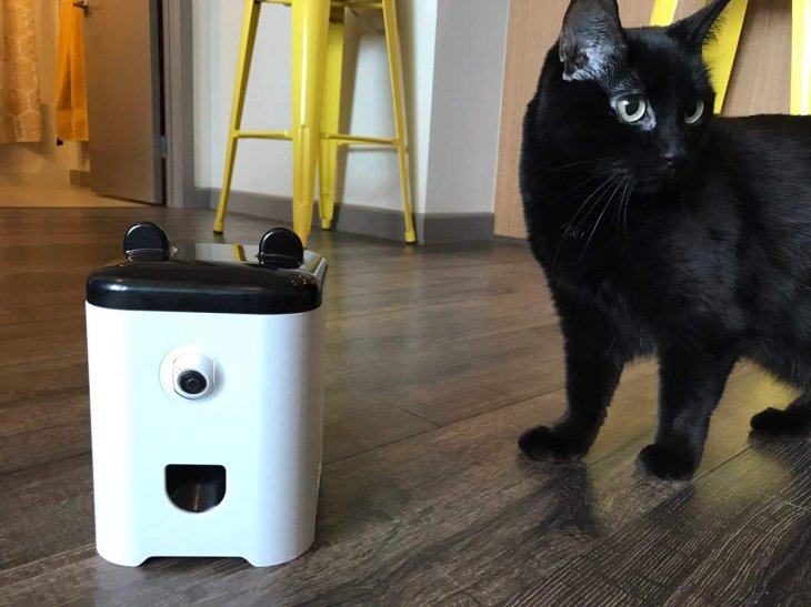 petbot-monitor-pets