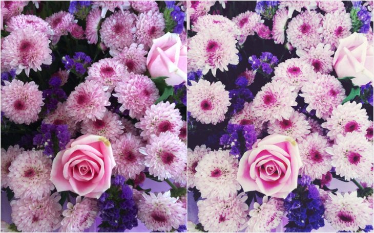 how-to-increase-followers-on-instagram-business-page