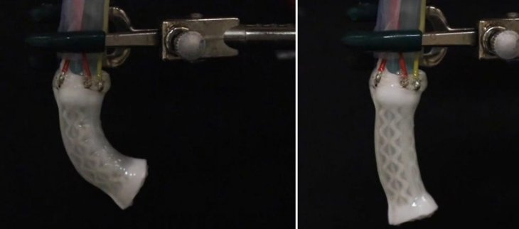 soft-human-like-robot-actuators-2