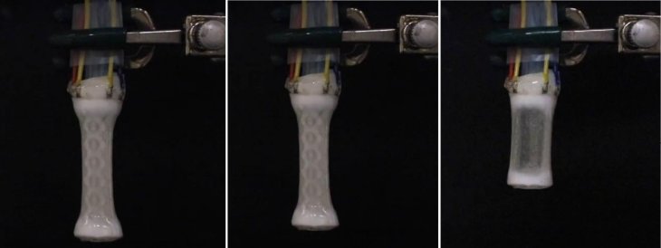 soft-human-like-robot-actuators-3