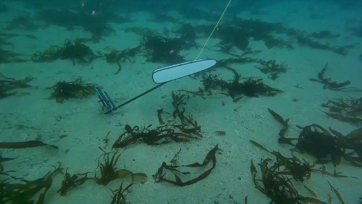 iphone-11-iphone-11-pro-how-water-resistant-are-they-water-resistance-test-2