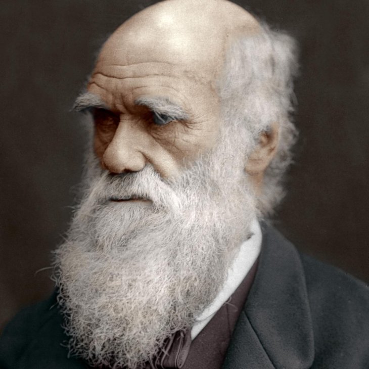 math-Charles-darwin