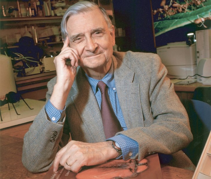 math-e-o-Wilson