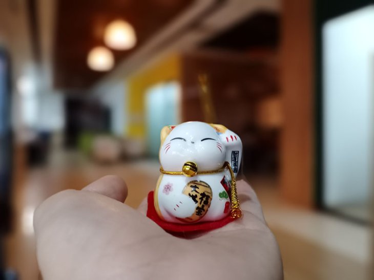 Vivo Y19 Mobygeek 6