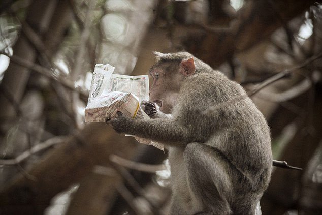 1412674132255 Wps 18 Pic By Hotspot Media Chee