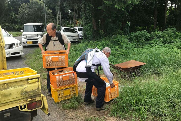 Innophys-exoskeletons