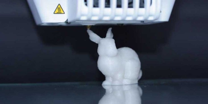 Dna Rabbit