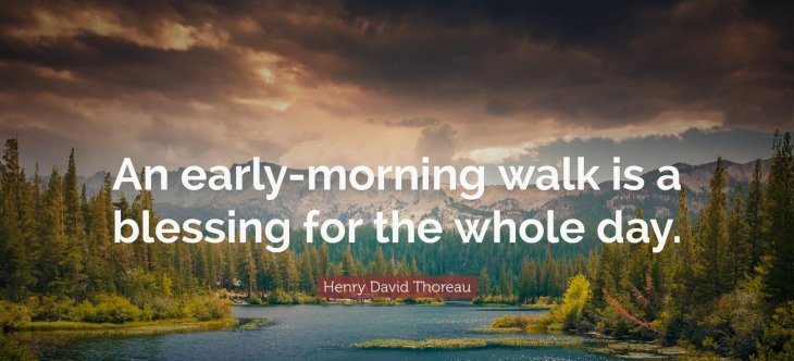 46638 Henry David Thoreau Quote An Early Morning W