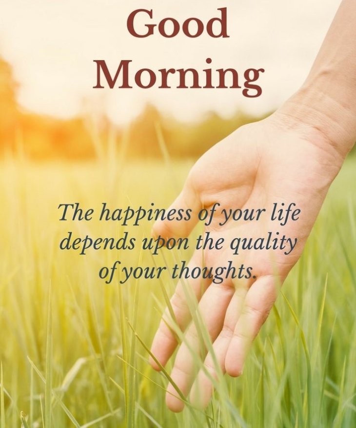 D73e30c60ebcfc9a86c63219b64f8248