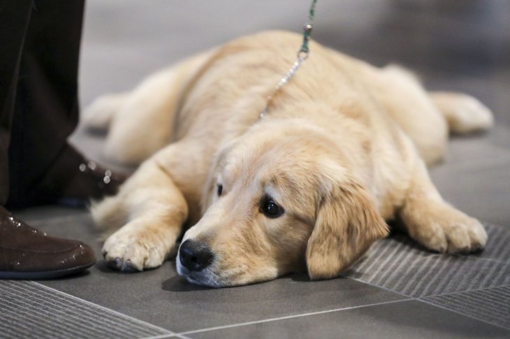 Mch3jdnz5ncqjljq3jvj6bmr7a