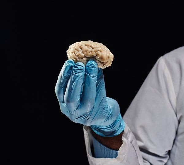 07mag Undead Articlelarge V2