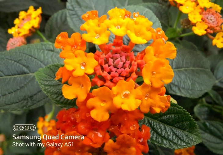 Galaxy A51 Review 18