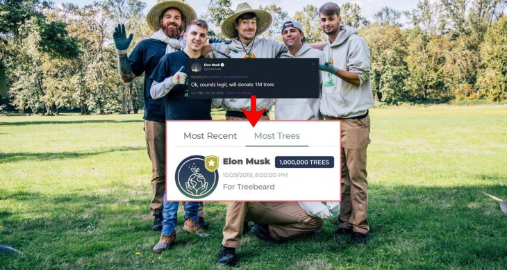 tree-planting-campaign