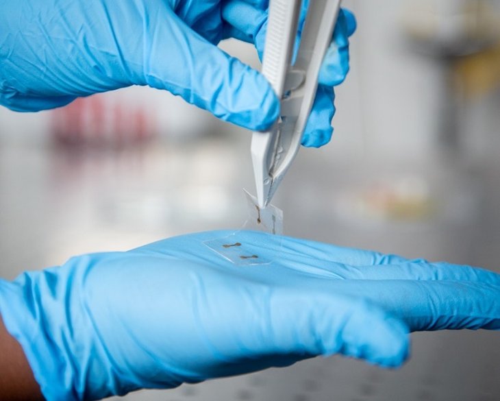 touchscreen-material-thin-flexible