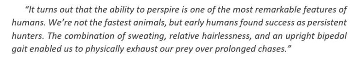 sweating-robot-sweat-to-stay-cool-2