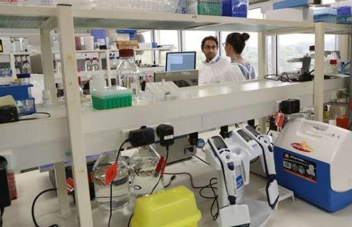 Professor SS Vasan coronavirus vaccine