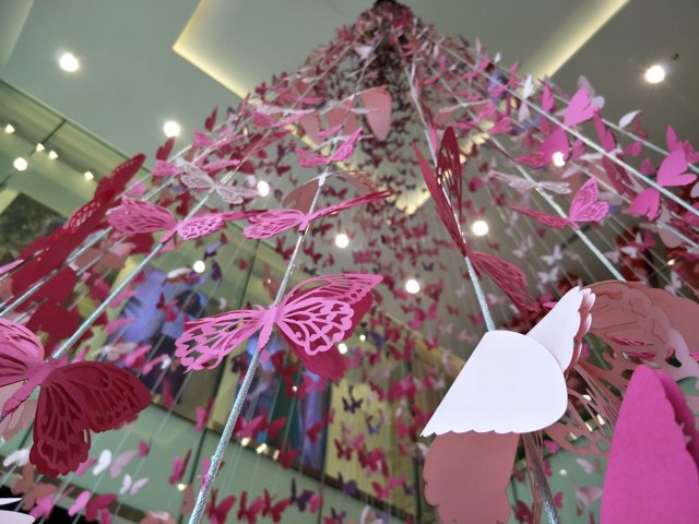 Oppo F3 Plus Photo 4