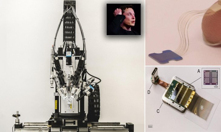 24440528 0 Image A 28 1581080131533