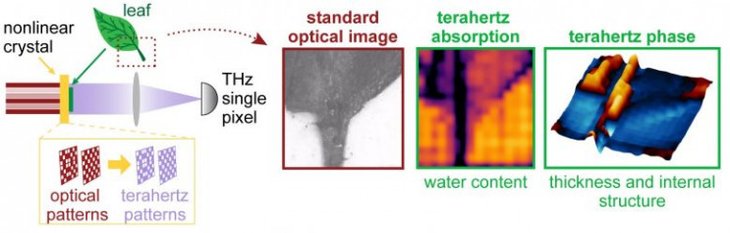 A New Camera Can Capture Objects That It Doesn't See