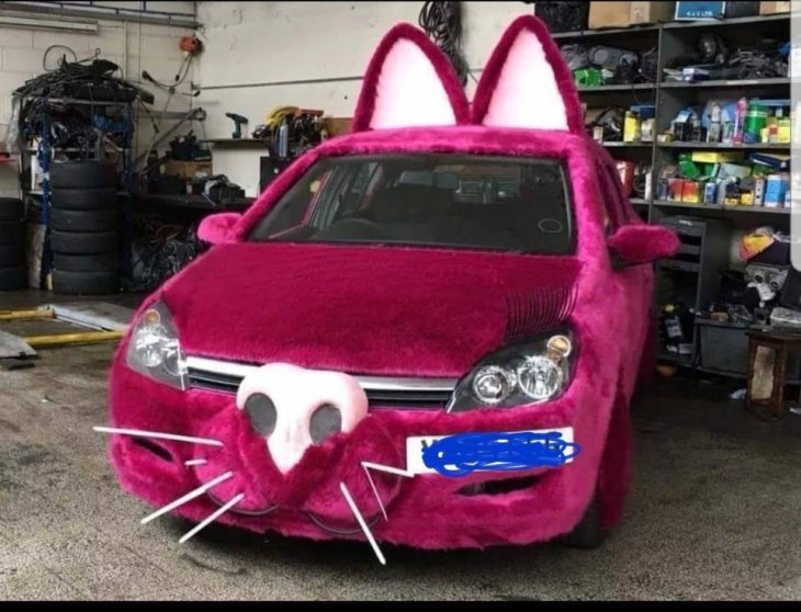 Furry Car