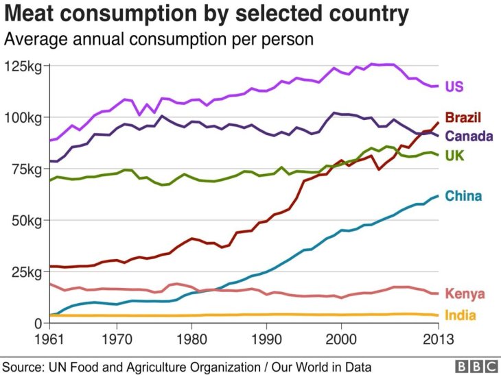 Infectious diseases meat consumption