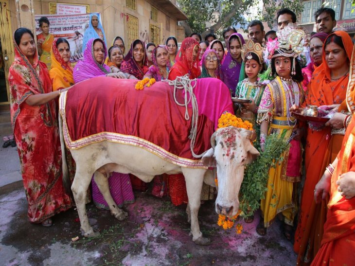 infectious diseases india harmony with nature