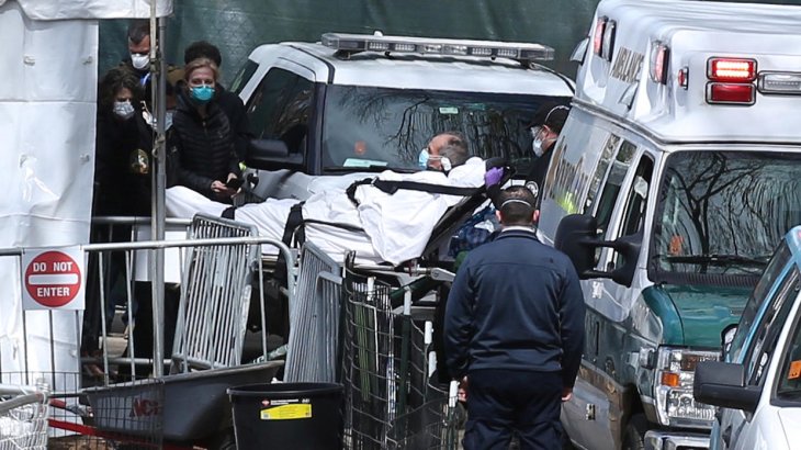 US tiger covid-19 tally