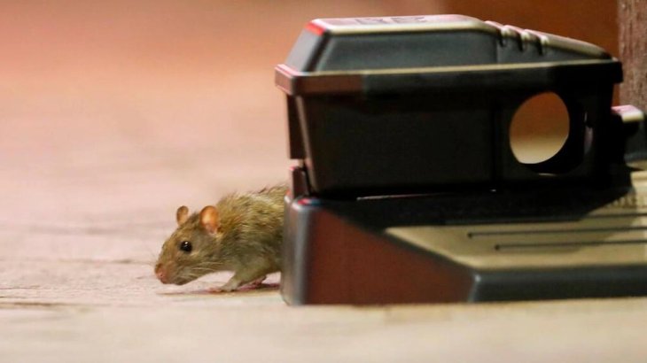 Haqyebgb4fgkhheswksvv7i4pm