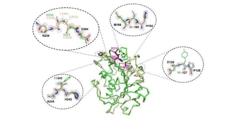 New Enzyme Recycle Plastic Waste 3