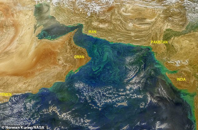 Toxic Green Algae Blooms India Coastlines Climate