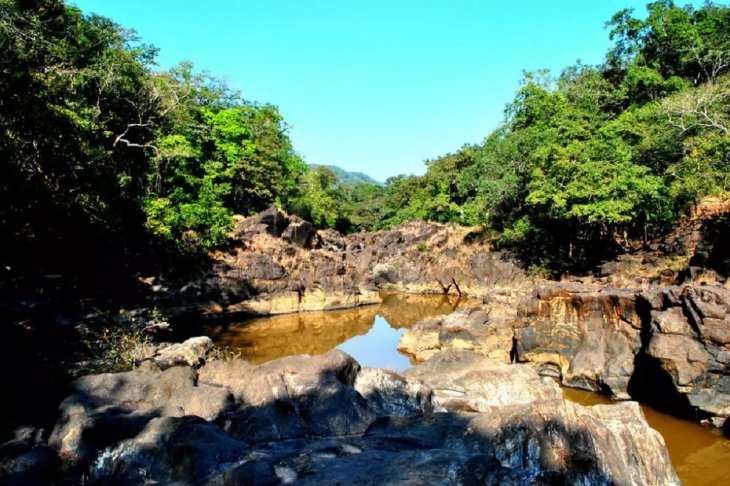 Netravali Sanctuary