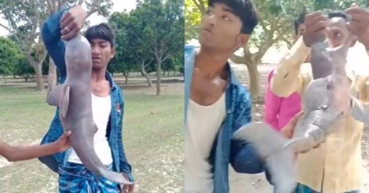Dolphin Kolkata men torture