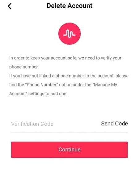 tiktok email verification