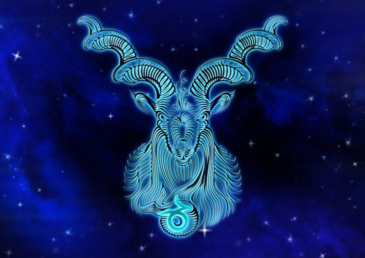 Capricon career zodiac signs