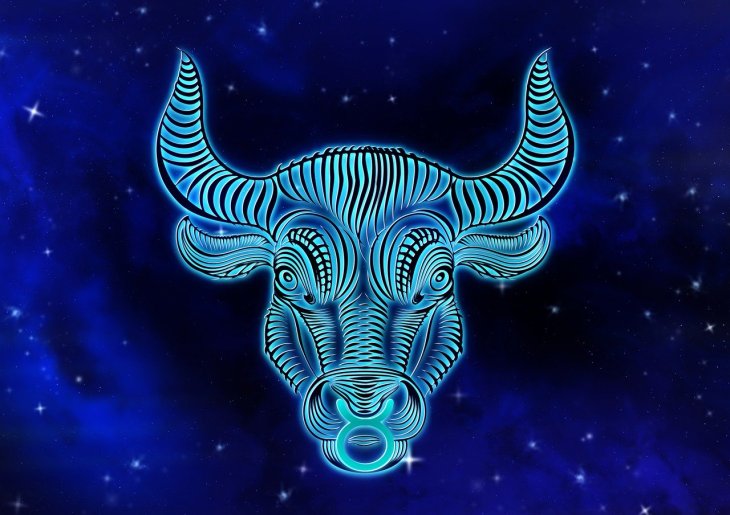 Taurus career zodiac signs