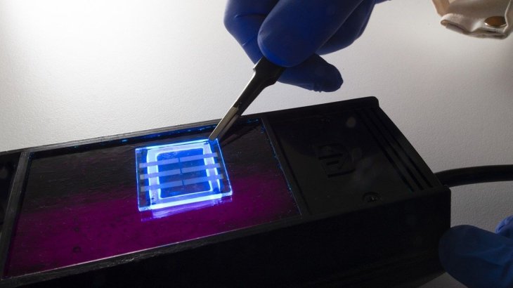 Human hair is chosen since it's a natural source of nitrogen and carbon