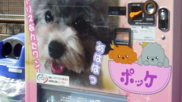 Puppy vending machine