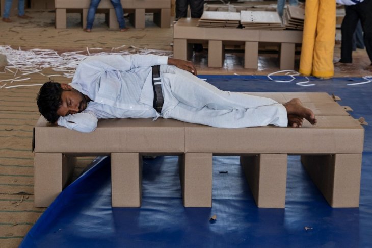 Cardboard Beds