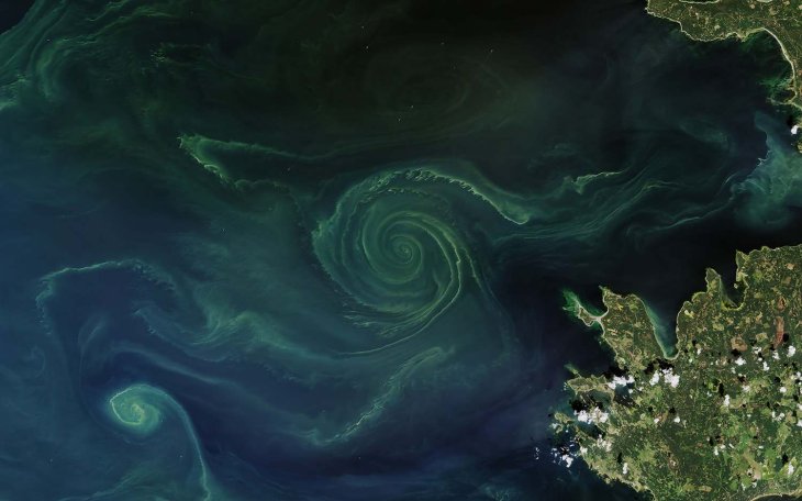 Phytoplankton Bloom Compressed 1