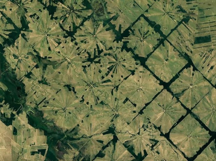 Rain Forest Decimated By Population Growth