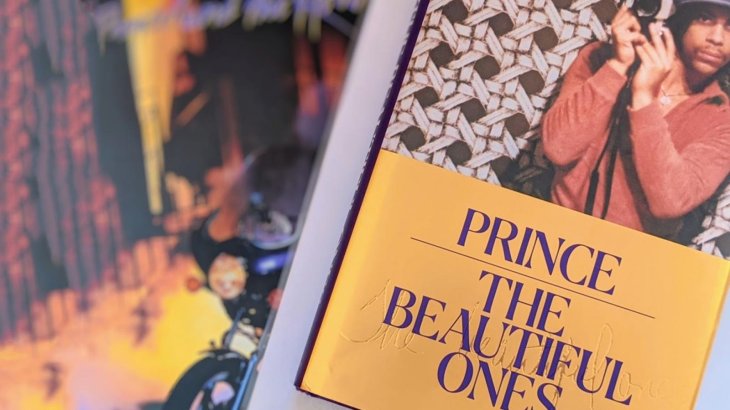 prince masturbating songs