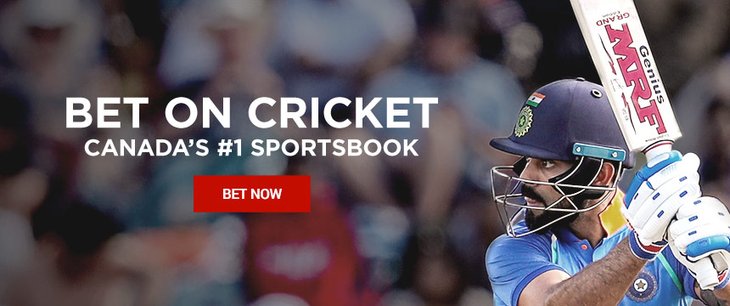 online betting site for cricket