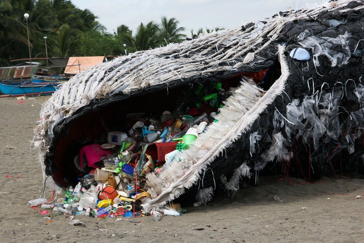 75Ft Giant Dead Blue Whale Washed Up Near A Beach In Indonesia