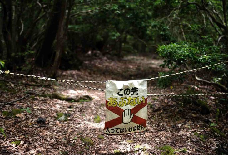 It's challenging to find human remains in the forest